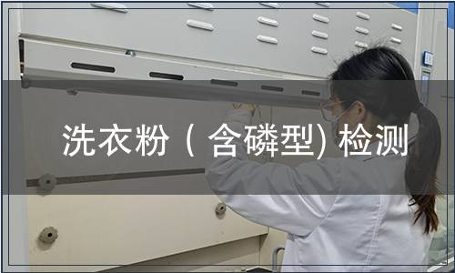 洗衣粉（含磷型) 检测