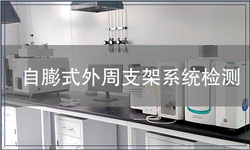 自膨式外周支架系统检测