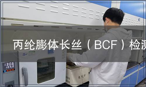 丙纶膨体长丝（BCF）检测