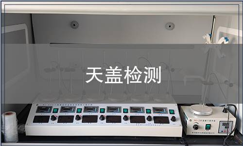 天盖检测