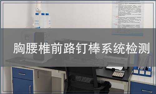 胸腰椎前路钉棒系统检测