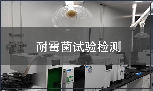 耐霉菌试验检测