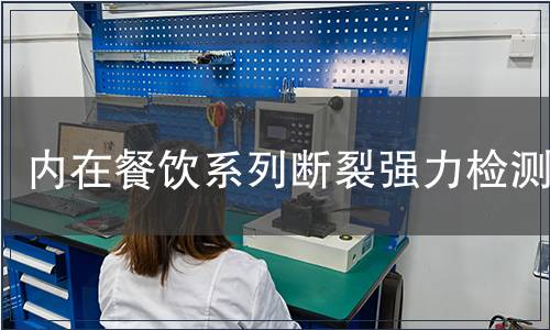 内在餐饮系列断裂强力检测