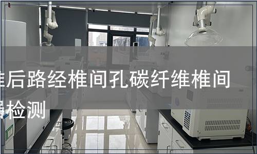 胸腰椎后路经椎间孔碳纤维椎间融合器检测