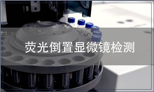 荧光倒置显微镜检测