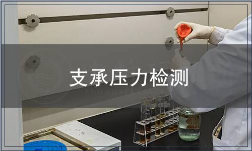 支承压力检测