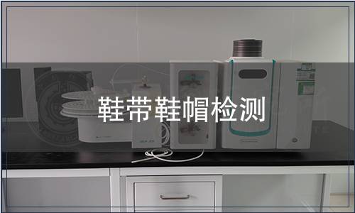 鞋带鞋帽检测