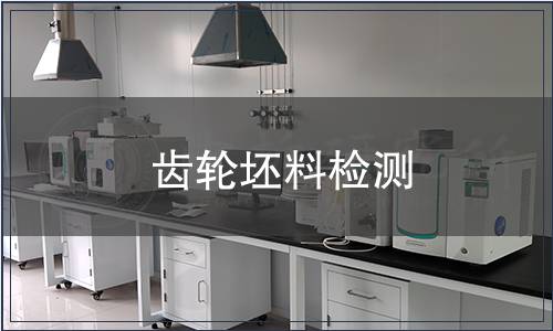 齿轮坯料检测