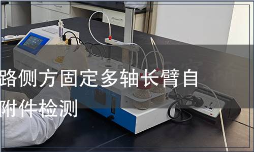 胸腰椎后路侧方固定多轴长臂自攻螺钉含附件检测