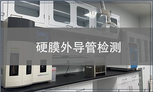 硬膜外导管检测