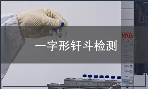 一字形钎斗检测