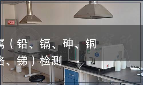 可萃取重金属（铅、镉、砷、铜、钴、镍、铬、锑）检测