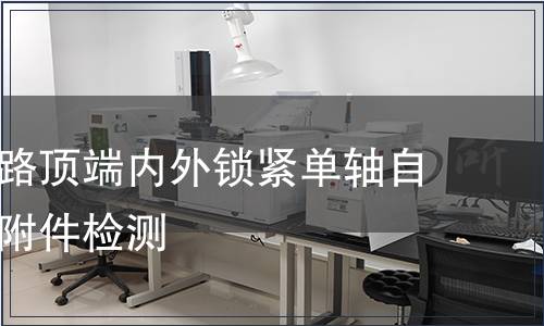 胸腰椎后路顶端内外锁紧单轴自攻螺钉含附件检测