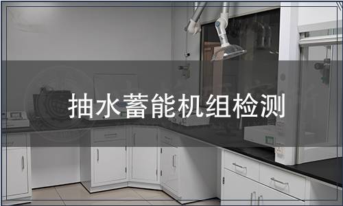 抽水蓄能机组检测
