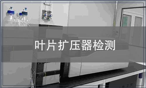 叶片扩压器检测