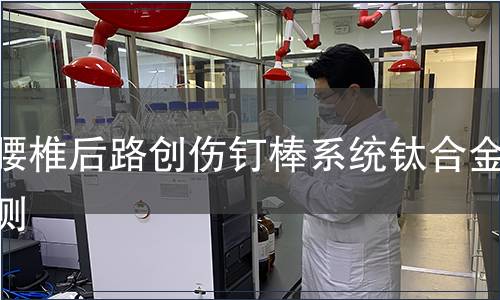 胸腰椎后路创伤钉棒系统钛合金检测