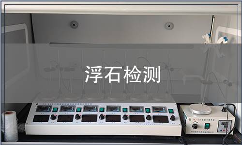 浮石检测