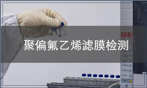 聚偏氟乙烯滤膜检测