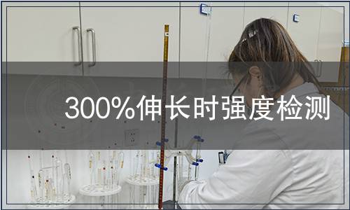 300%伸长时强度检测