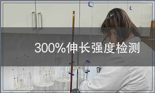 300%伸长强度检测