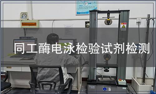 同工酶电泳检验试剂检测