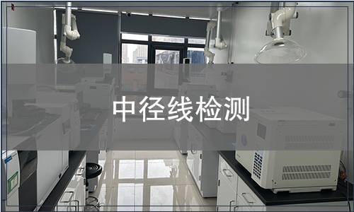 中径线检测