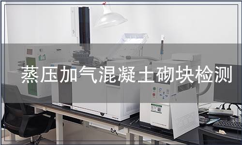 蒸压加气混凝土砌块检测