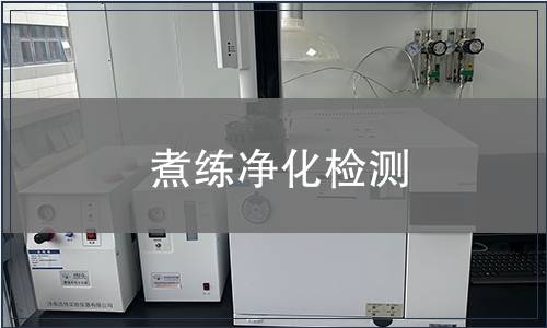 煮练净化检测