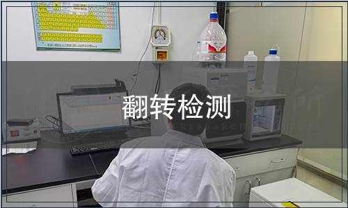 翻转检测