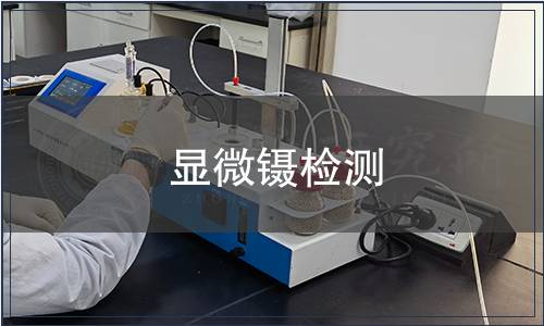 显微镊检测