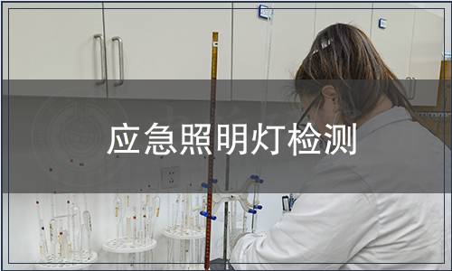 应急照明灯检测
