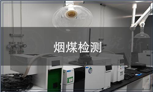 烟煤检测