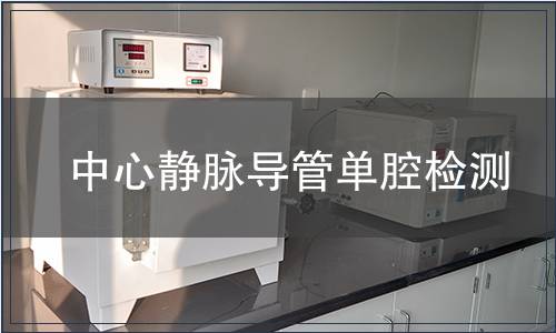 中心静脉导管单腔检测