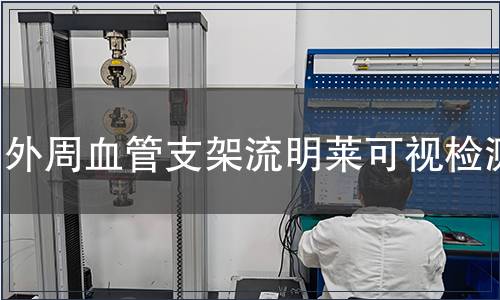 外周血管支架流明莱可视检测
