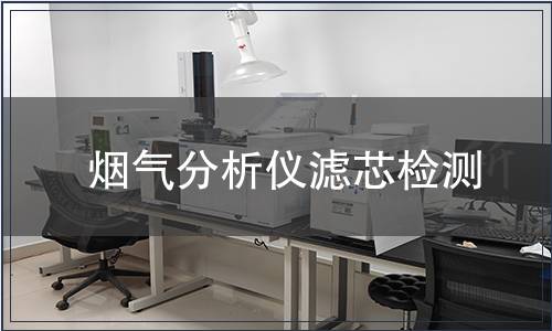 烟气分析仪滤芯检测