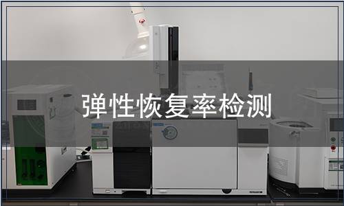 弹性恢复率检测