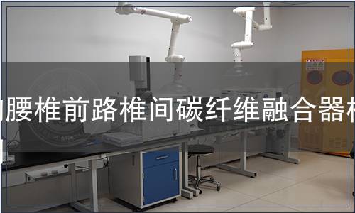 胸腰椎前路椎间碳纤维融合器检测