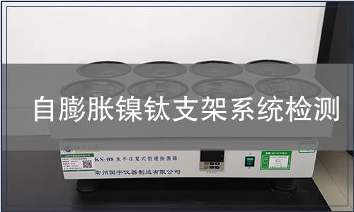 自膨胀镍钛支架系统检测