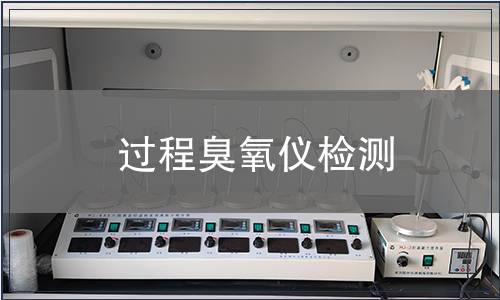 过程臭氧仪检测