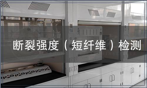 断裂强度（短纤维）检测