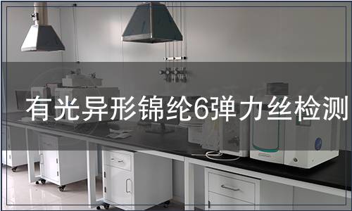 有光异形锦纶6弹力丝检测