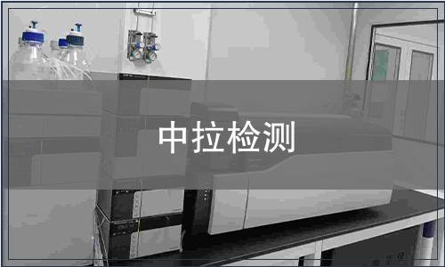 中拉检测