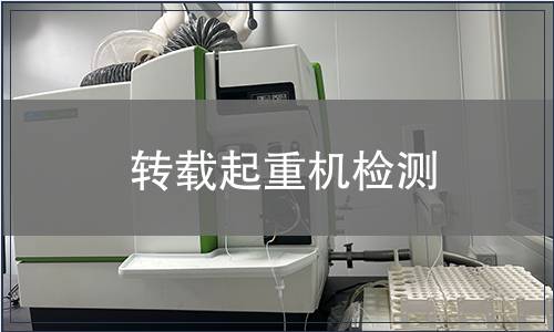 转载起重机检测