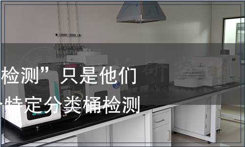 而标题“|-其他检测”只是他们正在填充的一个特定分类桶检测