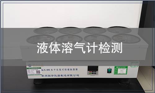 液体溶气计检测