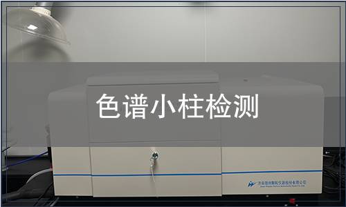 色谱小柱检测