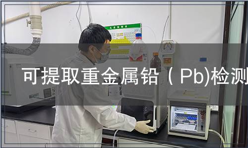 可提取重金属铅（Pb)检测