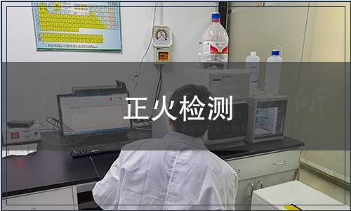 正火检测