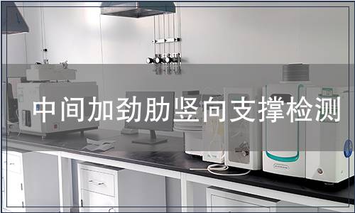 中间加劲肋竖向支撑检测