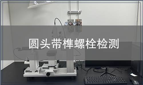 圆头带榫螺栓检测